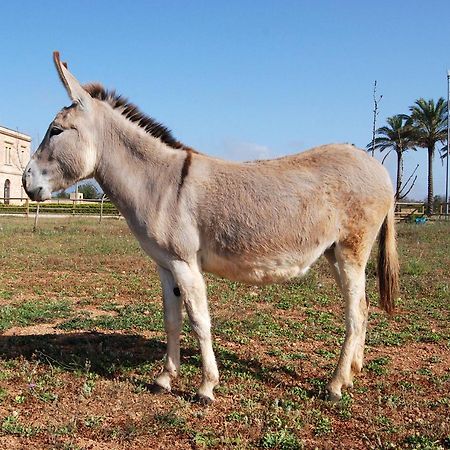 Masseria Galatea Agriturismo Алессано Экстерьер фото