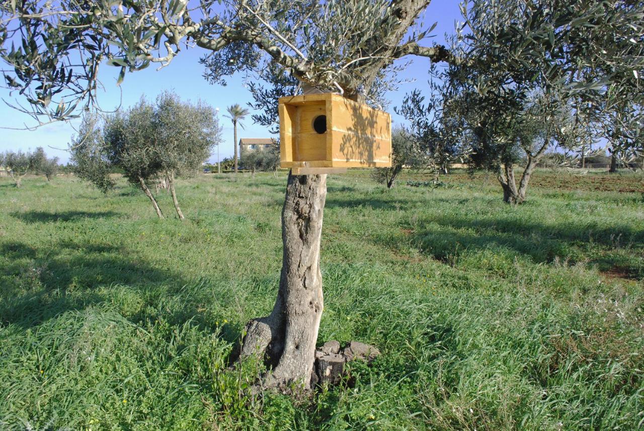 Masseria Galatea Agriturismo Алессано Экстерьер фото