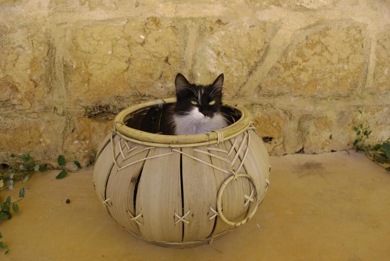 Masseria Galatea Agriturismo Алессано Экстерьер фото
